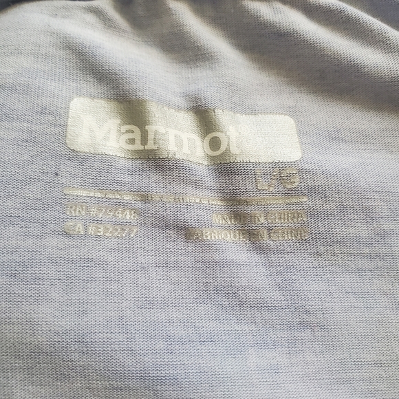 Lot of 2 outdoor tees, 1 Patagonia, 1 Marmot, Size L - Picture 9 of 12